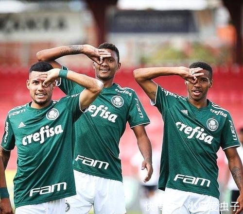 这种全能型 这种全能型